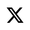 X (Twitter) X (Twitter)