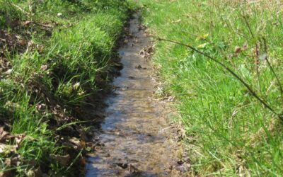 The Rural Landowner’s Answer to Septic Stress
